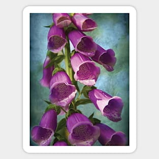 Foxgloves Sticker